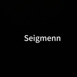Seigmenn