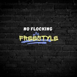 No Flocking / FreeStyle