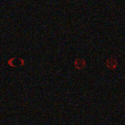 BL33DING 0UT (feat. TREBOR)