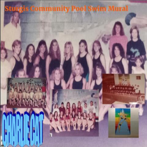 Sturgis Community Pool Swim Mural