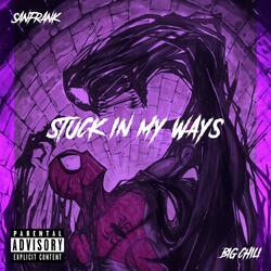 Stuck in My Ways (feat. Big Chili)