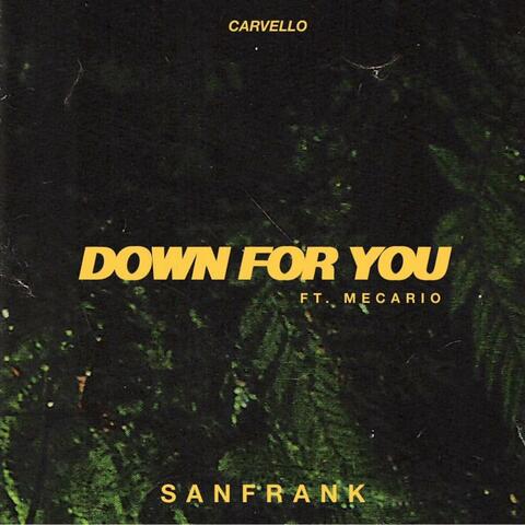 Down for You (feat. Mecario)