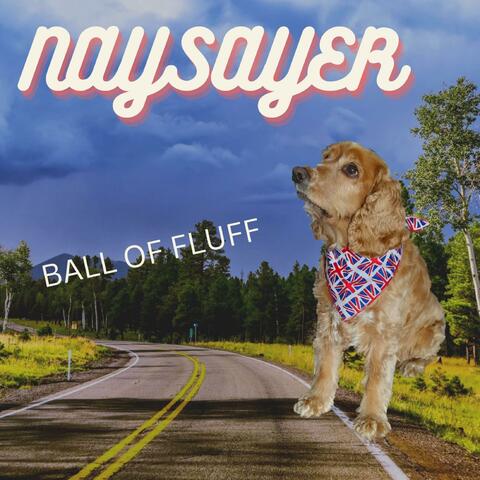 Naysayer