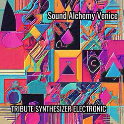 TRIBUTE SYNTHESIZER ELECTRONIC