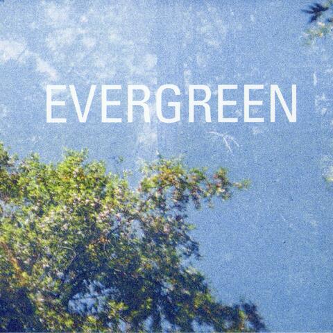 Evergreen