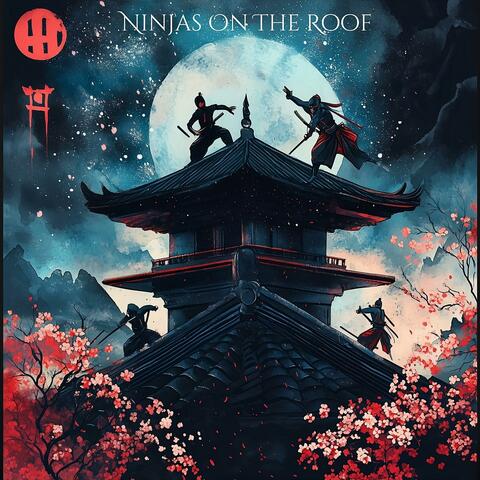 Ninjas On The Roof