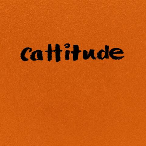 cattitude