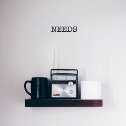 NEEDS