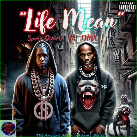 Life Mean (feat. DMX)