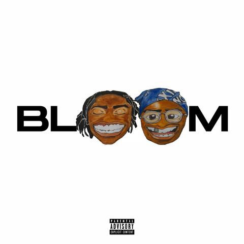 Bloom