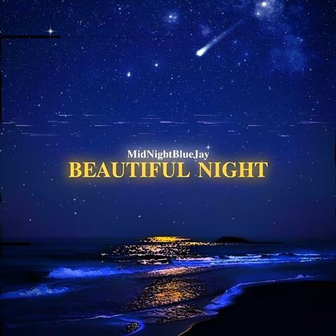 BEAUTIFUL NIGHT (feat. soberecstacy)