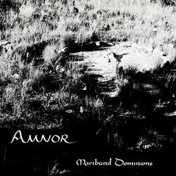 Remember the Broken Branch