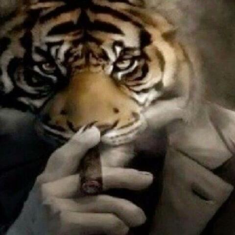 Lose