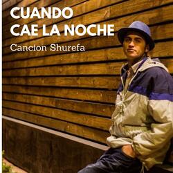 Cuando cae la noche