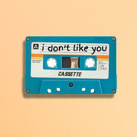 I Don't Like You
