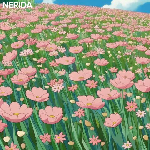 Daisies