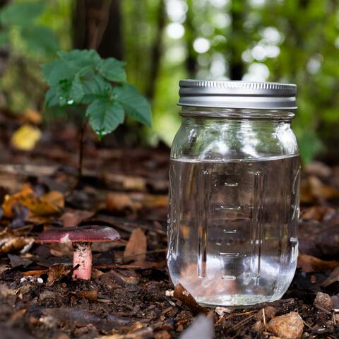 Kentucky Moonshine