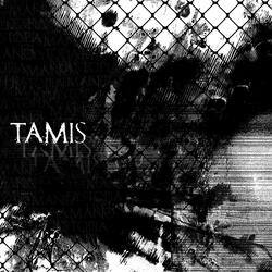 Tamis (feat. user140 & man010)