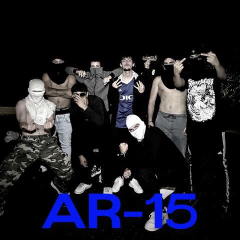 AR-15
