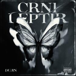 Crni Leptir