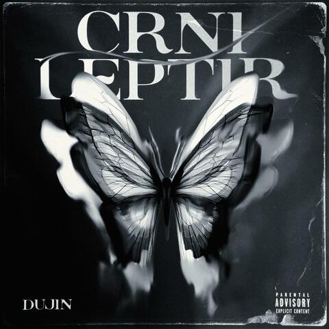 Crni Leptir