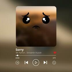 Sorry (feat. Skreamin Hussle)