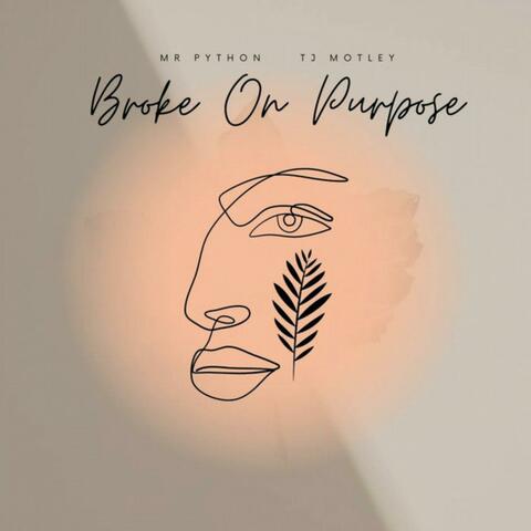Broke On Purpose (feat. Tsunami Jei) [Radio Edit]