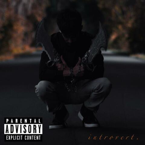 introvert.