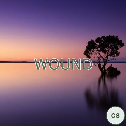 Wound