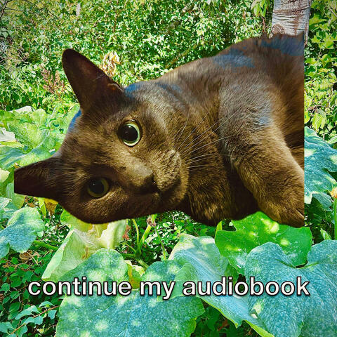 continue my audiobook