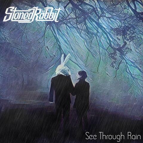 See Through Rain