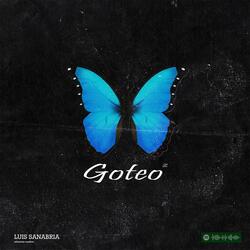 Goteo