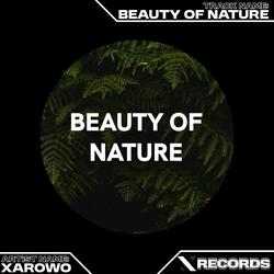 Beauty Of Nature