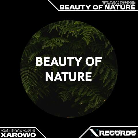 Beauty Of Nature