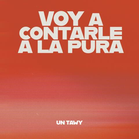 Voy a contarle a la pura
