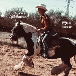 Wild Horse