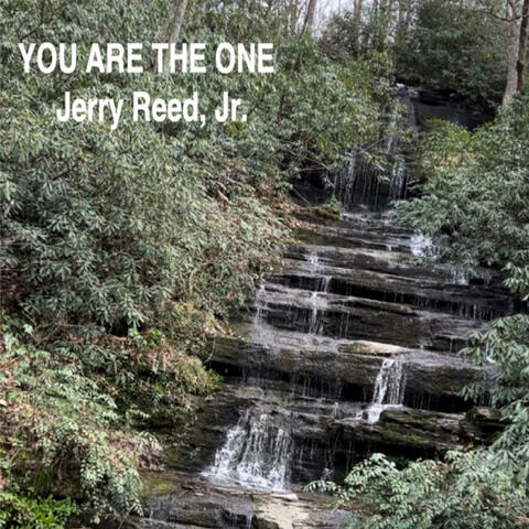YOU ARE THE ONE (feat. JERRY REED, JR, JAMES G. REED & DANIEL ECKERT)