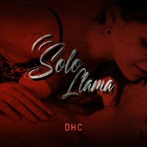 Solo Llama