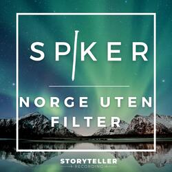 Norge uten filter