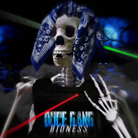 DUCE GANG BIDNESS