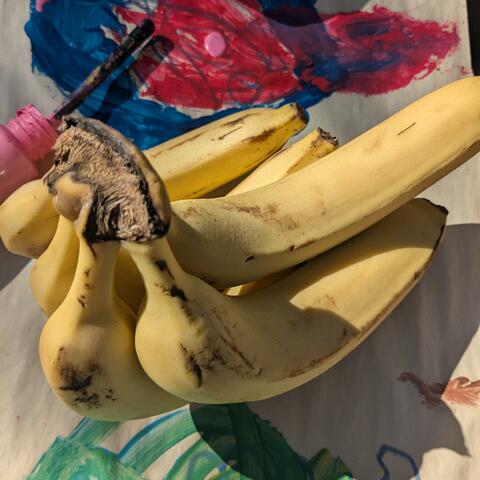 Squash the Banana