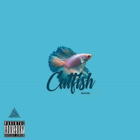 Catfish