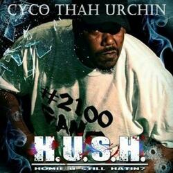 Hush (Homie You Still Hatin'?)