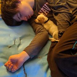 Dustin and His Dog Bingo