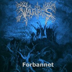 Beneath The Frosty Trees