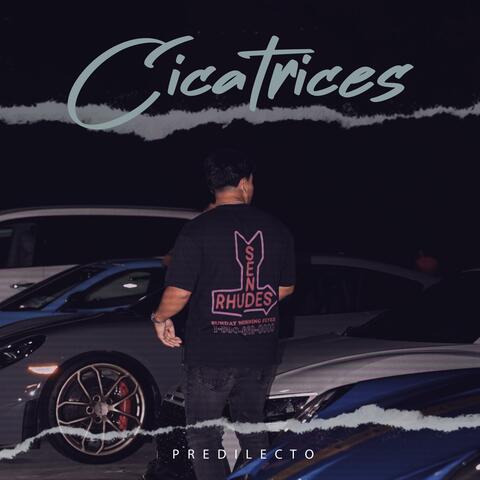 Cicatrices