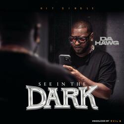 See in the Dark