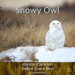 Snowy Owl (feat. Joanne Clarkson)