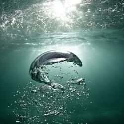 Gotas