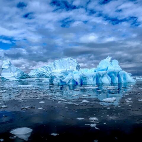 Iceberg